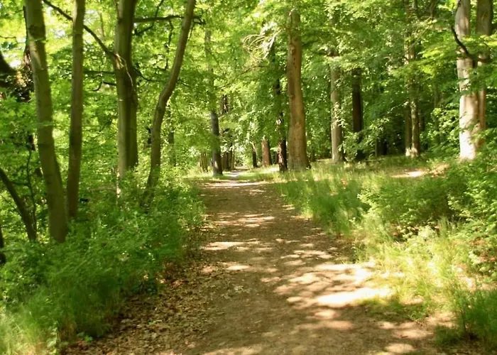 Uprostred Trojuhelniku Praha - Karlovy Vary - Plzen Kolesovice